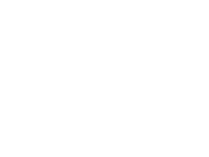 Style Doctor Logo