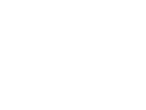 Style Doctor Logo
